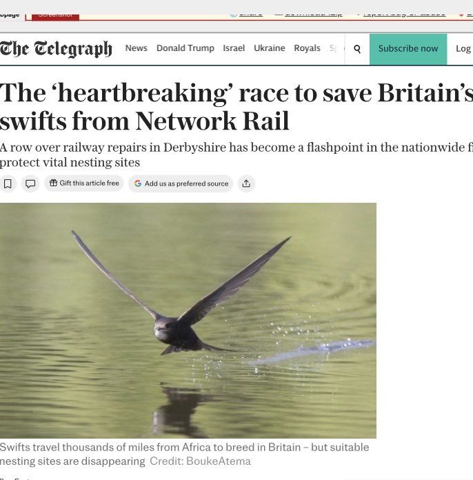 Hannah Bourne-Taylor tweet media