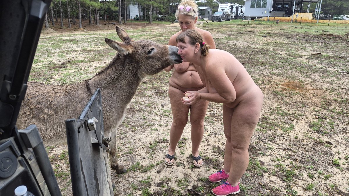 Naturismintx tweet media