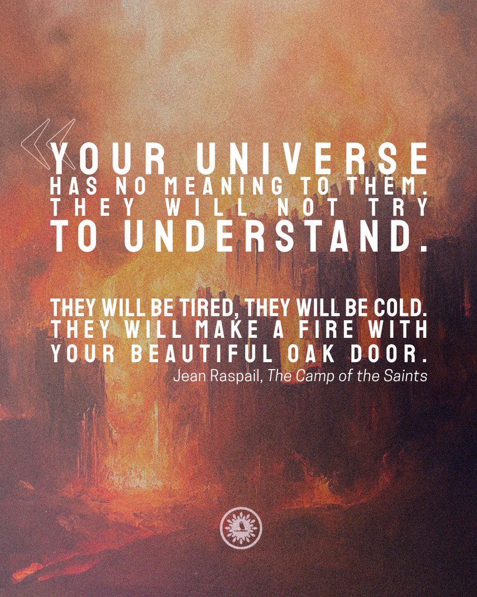 Frog on a Stone 🇺🇸 tweet media