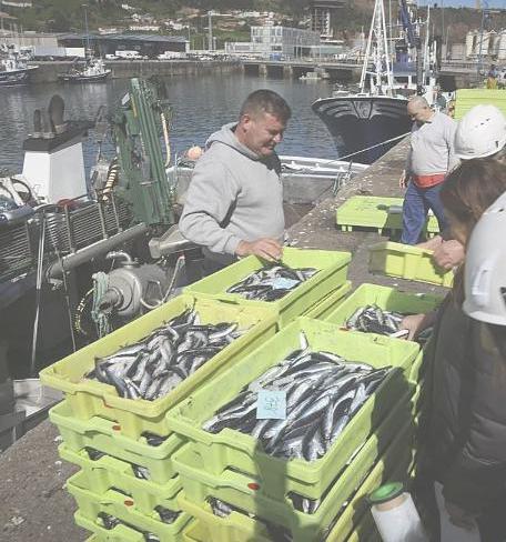 Samuel Gutiérrez tweet media