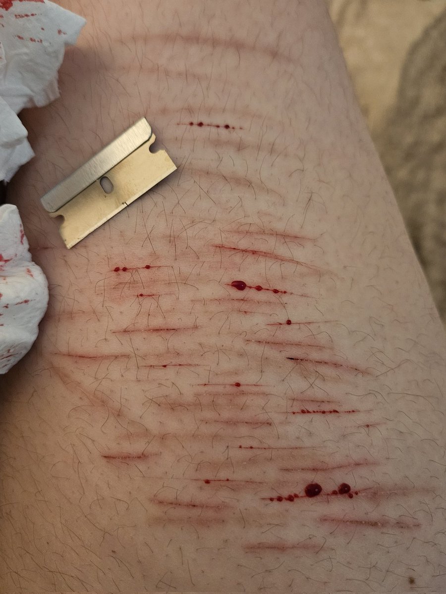 cicadaskins : the bug of shtwt tweet media