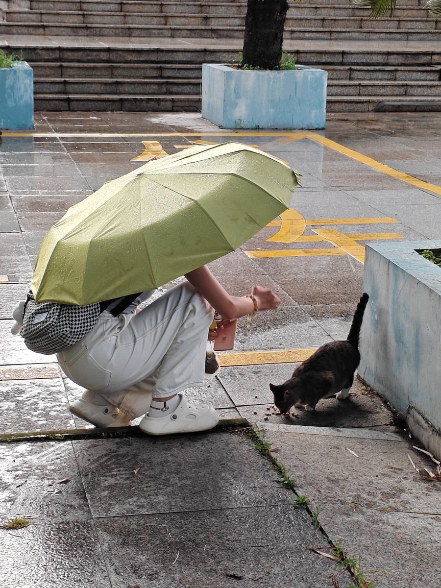 jerrell gaston tweet media