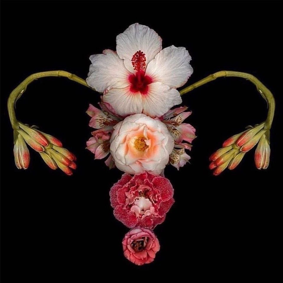 PmAmTraveller tweet media