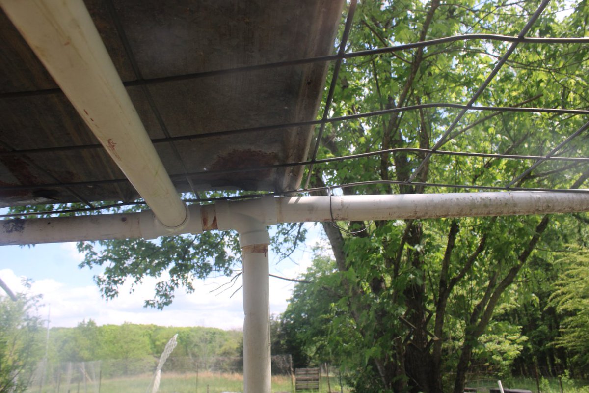 docsanderson's tweet image. #Scientists #Carpenter #RestorationProject #Wolves #Mates @NatGeo @HeartsofHeroes_ @Nature
@Ginger_Zee Lizzie Mags G i got the center support beam for #GreenHouse rebuilt &amp;amp; in place except glueing. running on fumes. headed in to cool off &amp;amp; Take Nap. Mwah Slow&amp;amp;Low Beautifuls Lelon