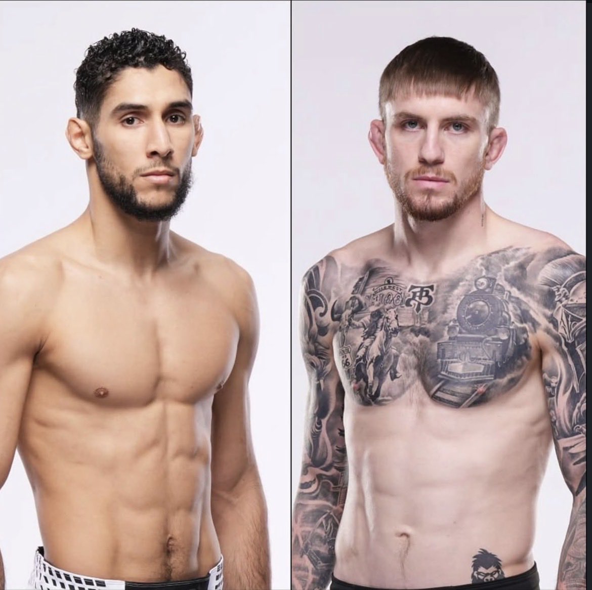 knockoutnewsfr's tweet photo. Les fights que Ali va donner à Ziam avant le top 15 https://t.co/irqHcX9Ax9