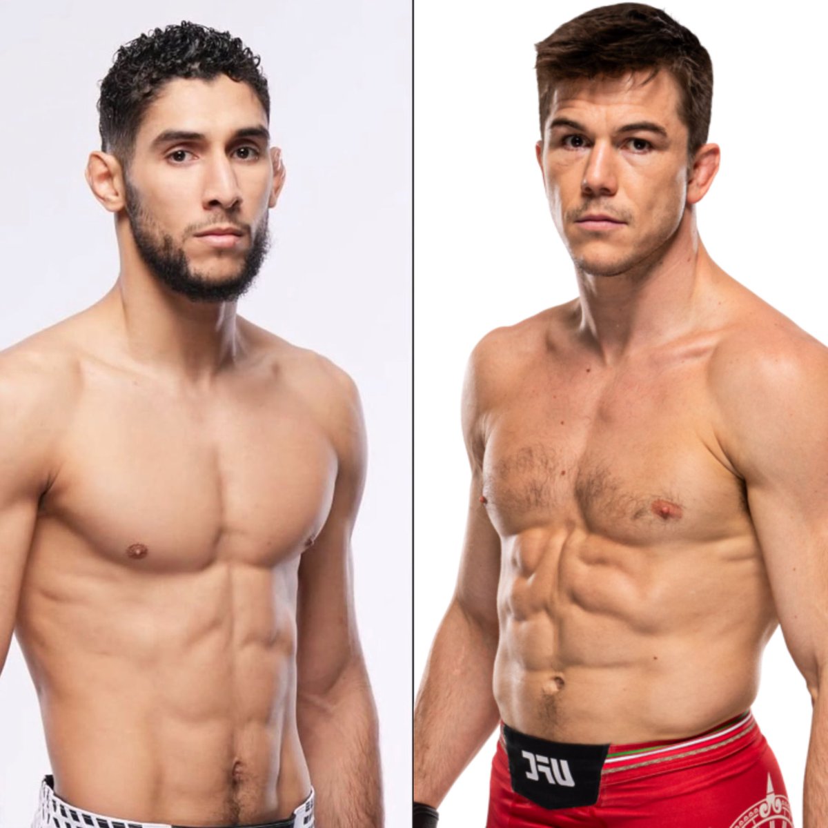 knockoutnewsfr's tweet photo. Les fights que Ali va donner à Ziam avant le top 15 https://t.co/irqHcX9Ax9
