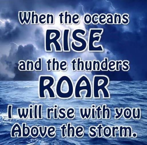 Heather Jordan 🌸✝️🩸👀👂🎺 tweet media