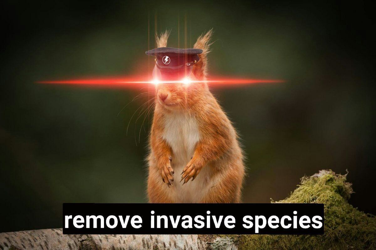 ⚡Kelamaty⚡ tweet media