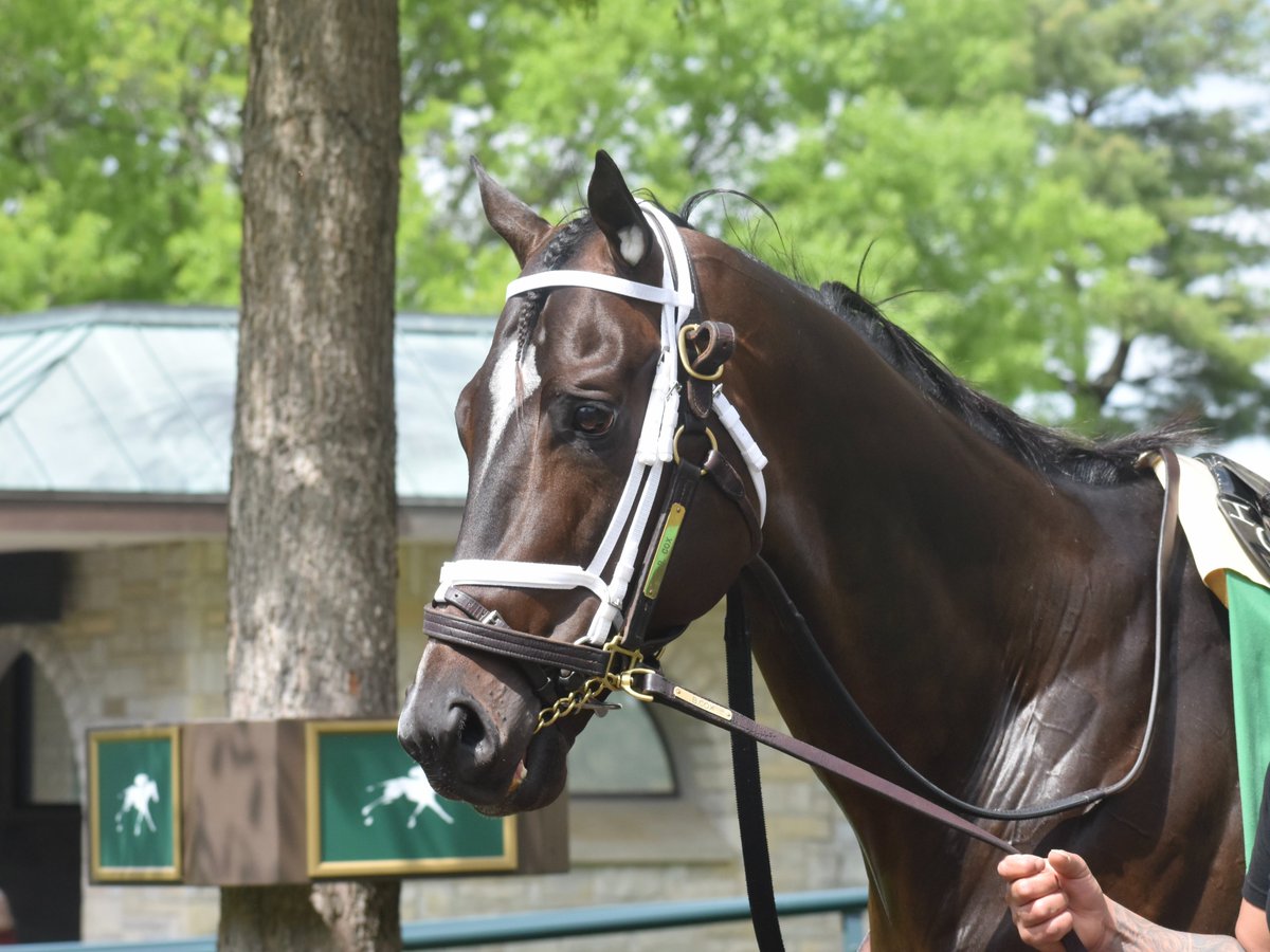 Equitrack tweet media