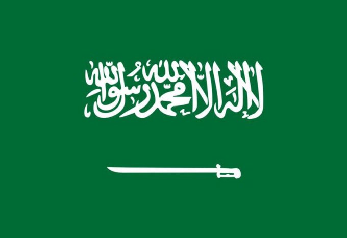 محمد 🕷️الهمس خالد ١٧٢٧م 🇸🇦 tweet media