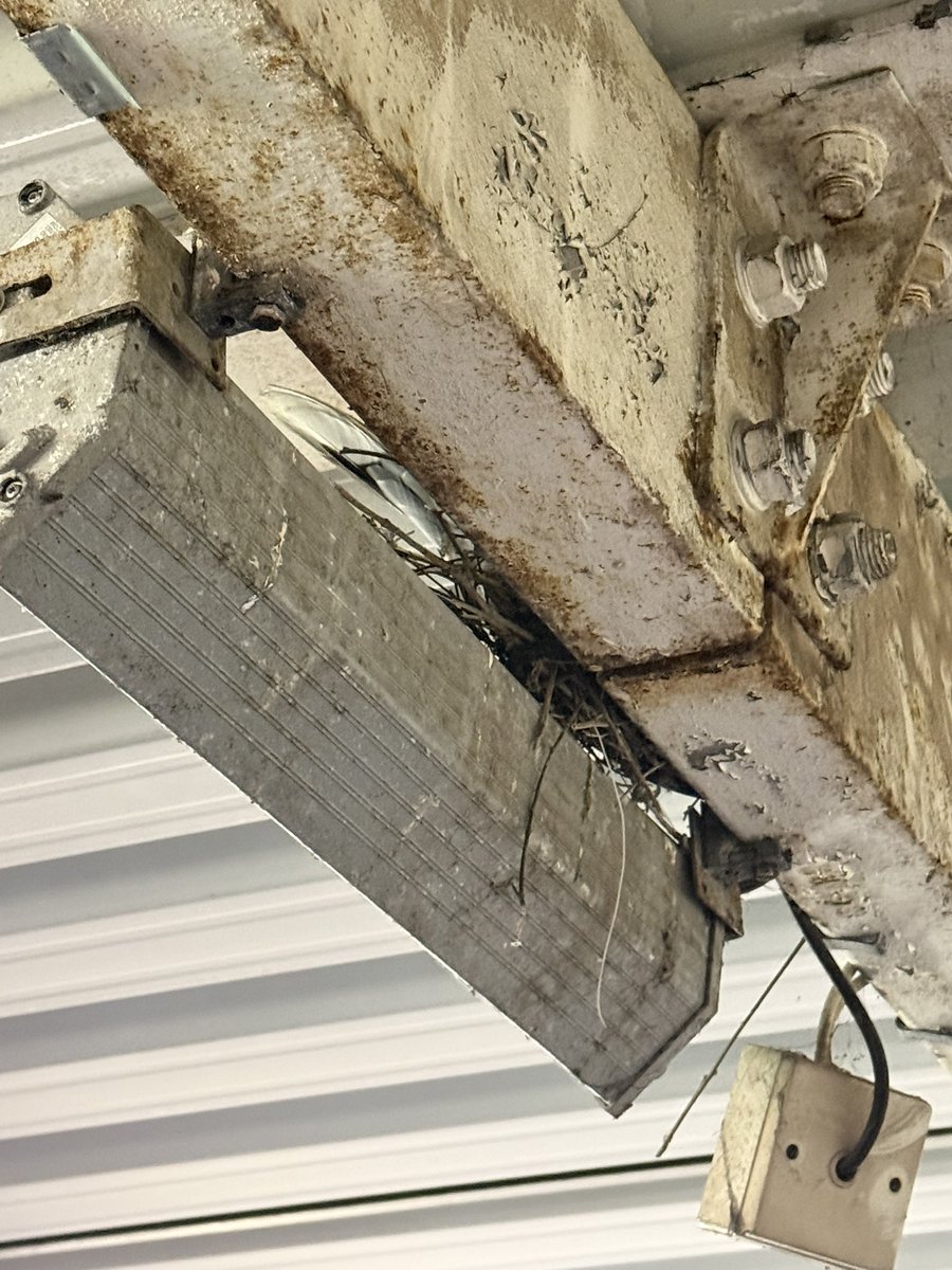 Toby Wood tweet media