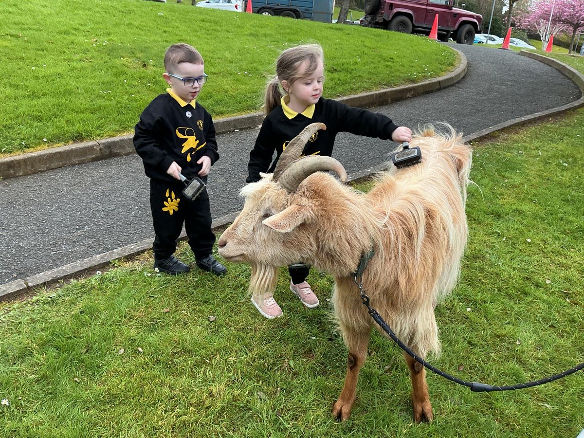 ctrps1's tweet image. A very special day for our nursery pupils as Blackberry Farm came to visit—bringing along some adorable animal friends! 🐑✨ 

Smiles, excitement, and hands-on learning made it a truly unforgettable experience! 

🌟 #FarmVisit #LearningThroughPlay