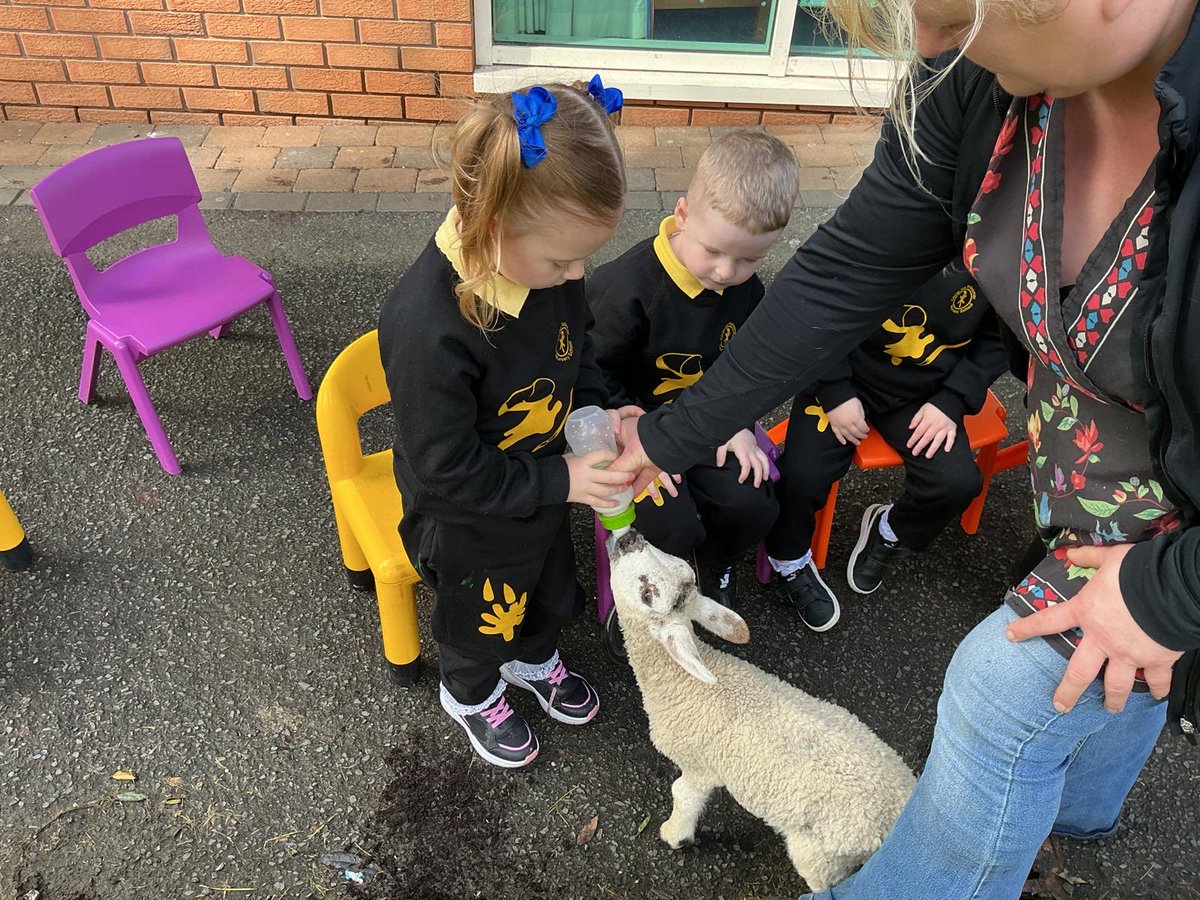 ctrps1's tweet image. A very special day for our nursery pupils as Blackberry Farm came to visit—bringing along some adorable animal friends! 🐑✨ 

Smiles, excitement, and hands-on learning made it a truly unforgettable experience! 

🌟 #FarmVisit #LearningThroughPlay