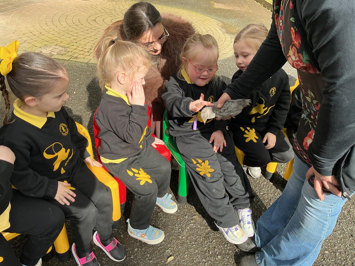 ctrps1's tweet image. A very special day for our nursery pupils as Blackberry Farm came to visit—bringing along some adorable animal friends! 🐑✨ 

Smiles, excitement, and hands-on learning made it a truly unforgettable experience! 

🌟 #FarmVisit #LearningThroughPlay