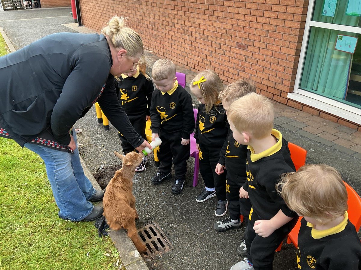 ctrps1's tweet image. A very special day for our nursery pupils as Blackberry Farm came to visit—bringing along some adorable animal friends! 🐑✨ 

Smiles, excitement, and hands-on learning made it a truly unforgettable experience! 

🌟 #FarmVisit #LearningThroughPlay