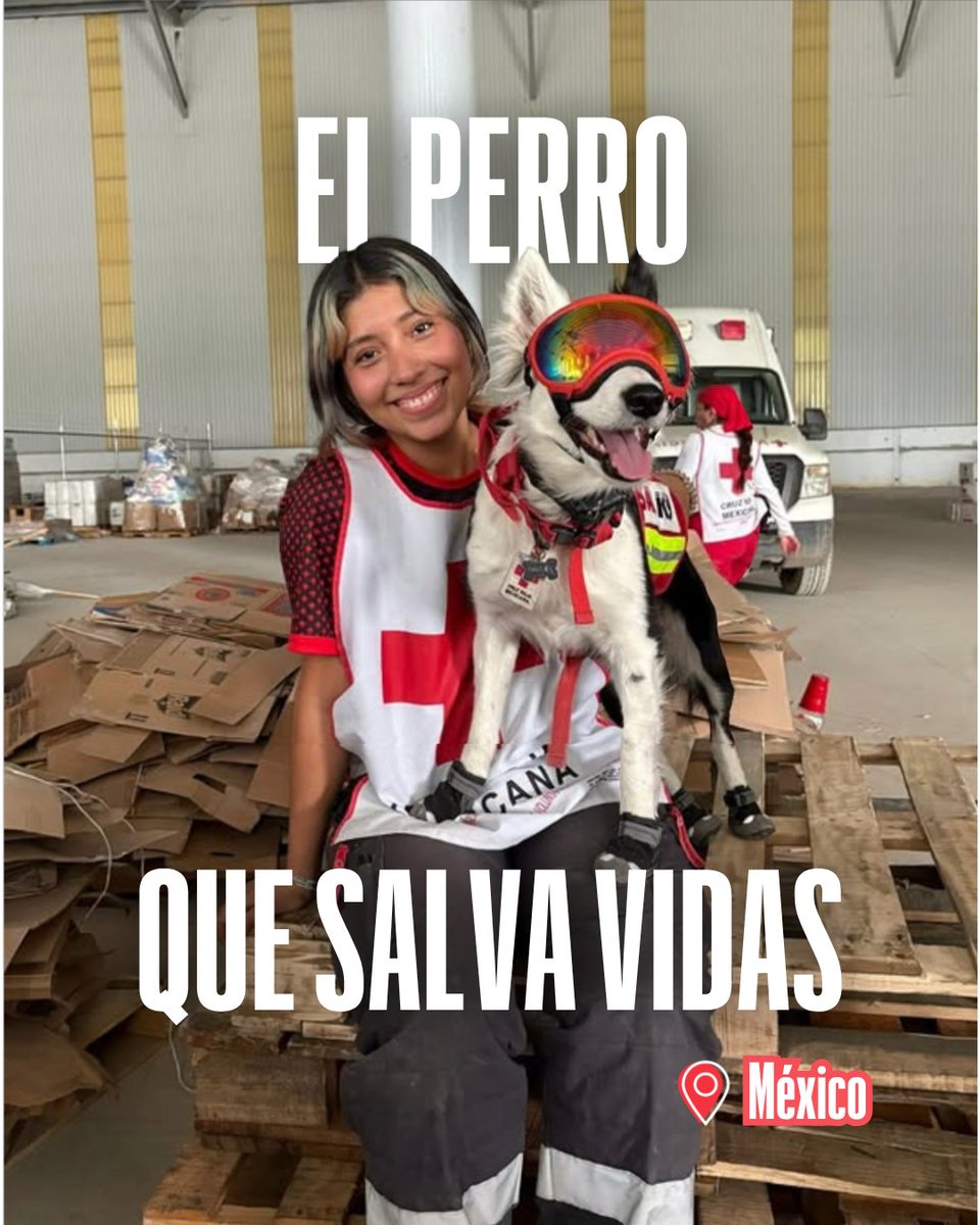 Cruz Roja Española tweet media