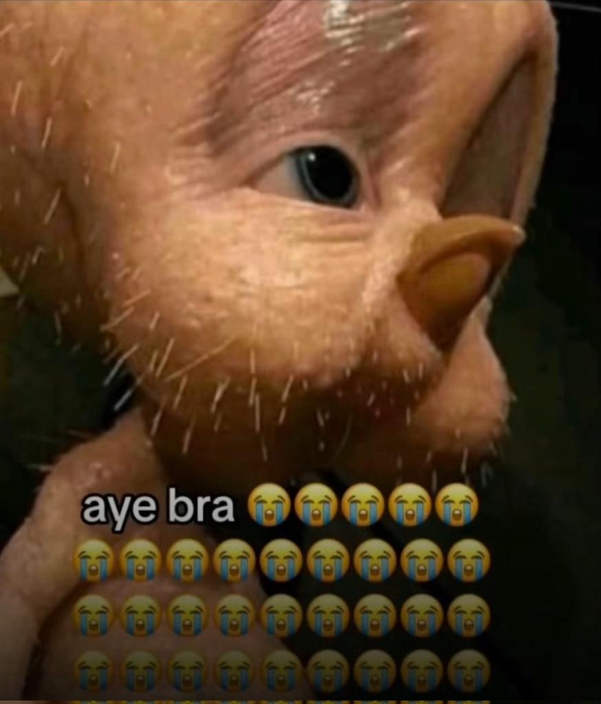 PeaceComb tweet media