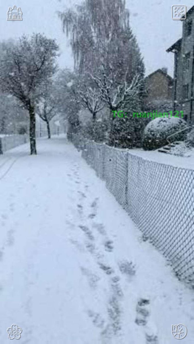 d7c43b937a24294's tweet image. Get clients daily from Twitter 💰  

طريقة سهلة لجلب العملاء 🚀  

Automation changed everything 👇  

#makemoney #automation #twitter #UAE