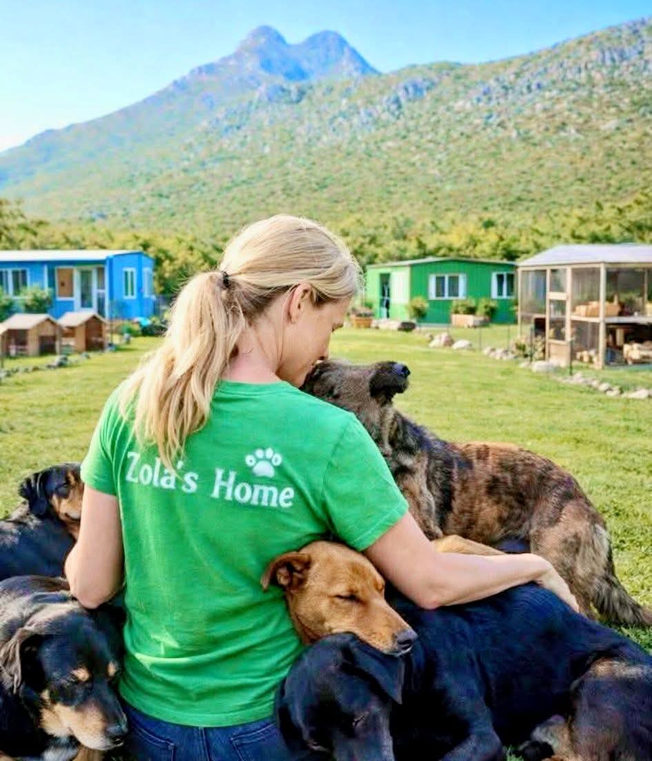 Please share, I did not want to start a backabuddy as I do not know if it really work, but please share for me,‼️ please‼️ this dream is big I know, but I have to start somewhere
Please please please SHARE
 backabuddy.co.za/campaign/zolas…