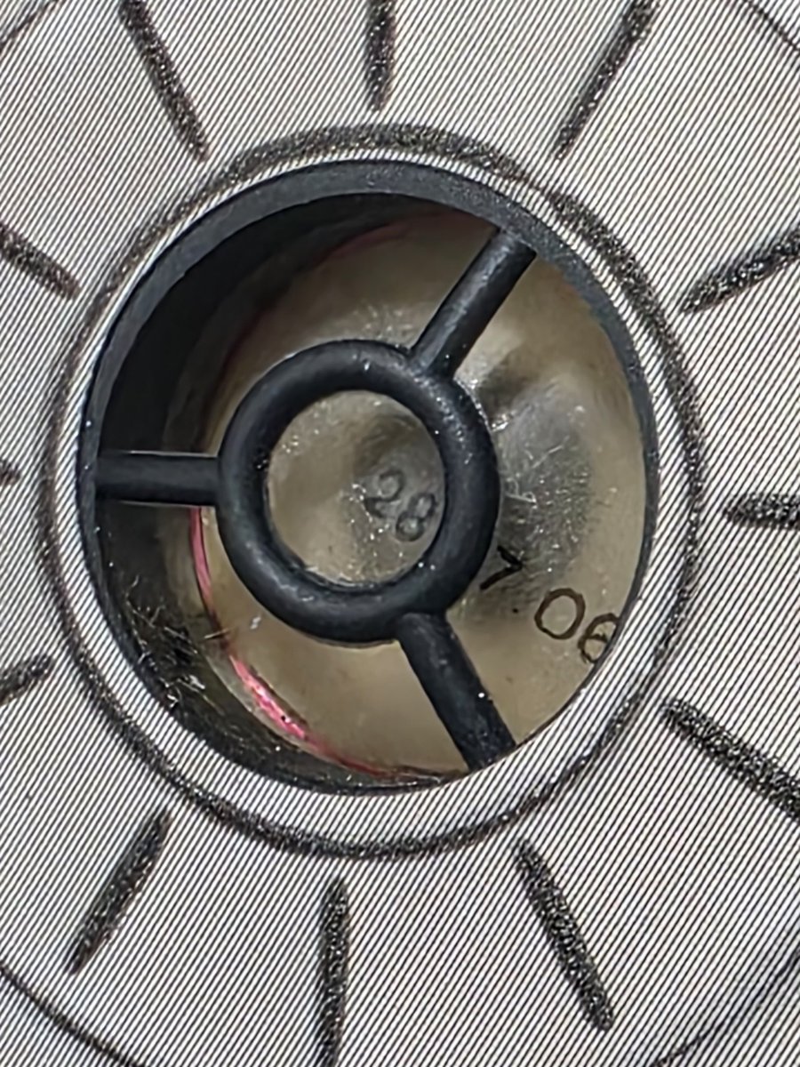 Ouriço de cartola tweet media