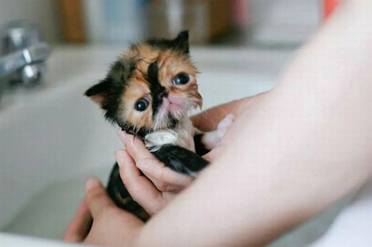 акураакураакураакура tweet media