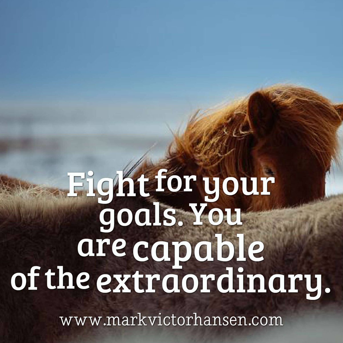 MarkVHansen's tweet image. Extraordinary results are not given.
They are earned… through persistence, focus, and refusal to quit.

#growth #successmindset #goals #focus #resilience #mndaymotivation