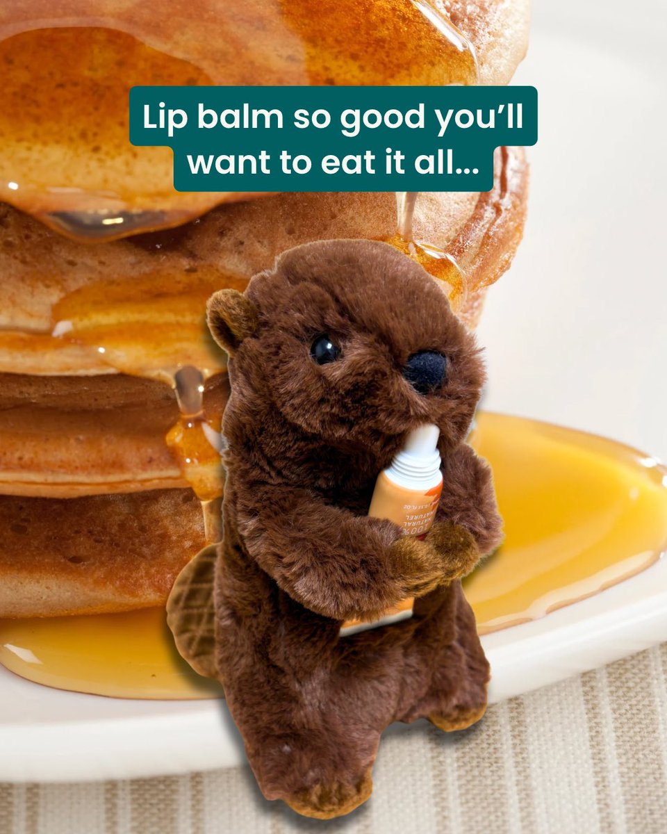 TheGreenBeaver's tweet image. We made our Maple Lip Balm so good, you'll want to put it on your pancakes... Stock up at greenbeaver.com for a healthy way to get your maple fix. 🥞 #MapleSyrup
