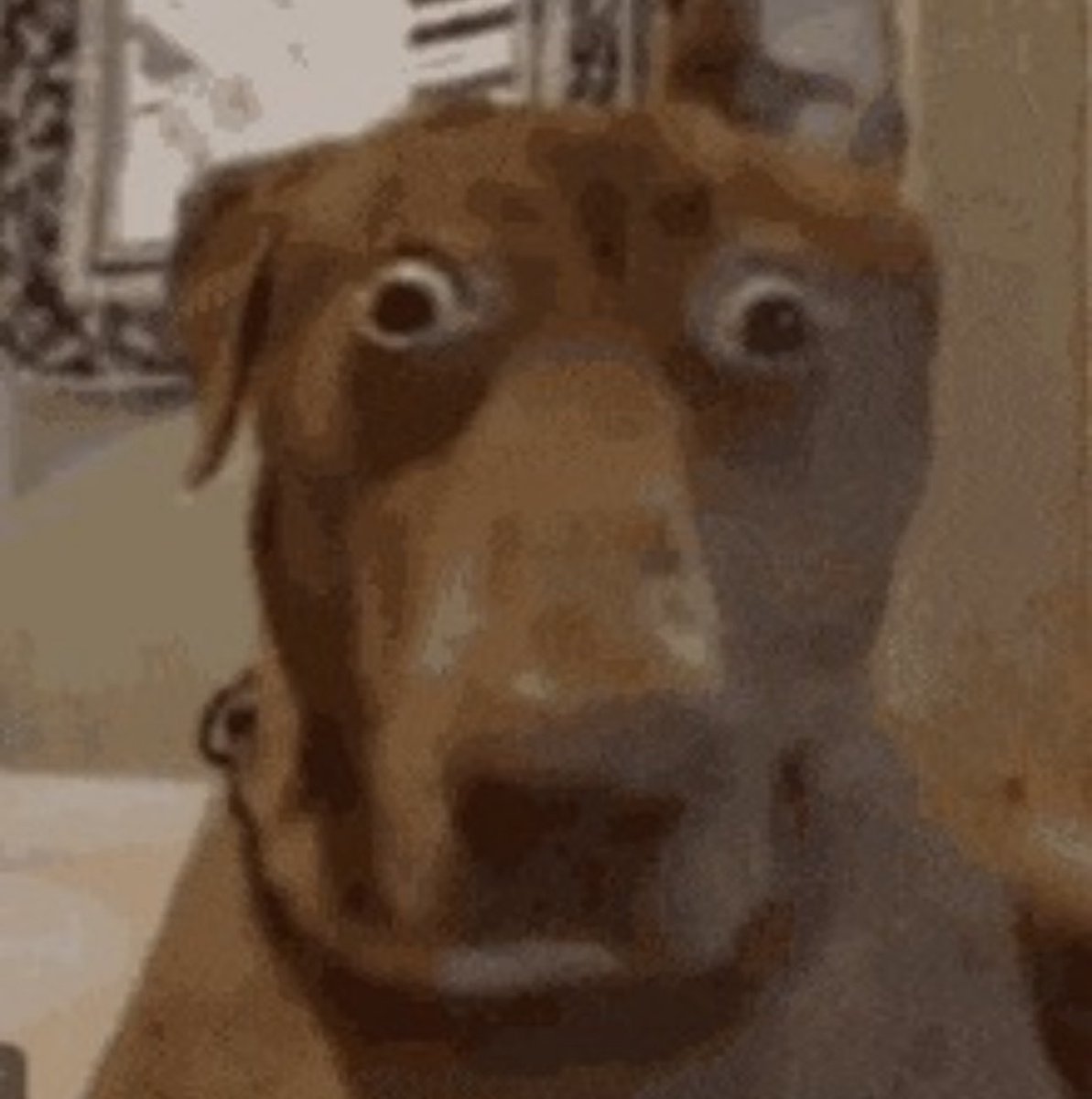 Gary Fatterson (Big 12 propagandist) tweet media