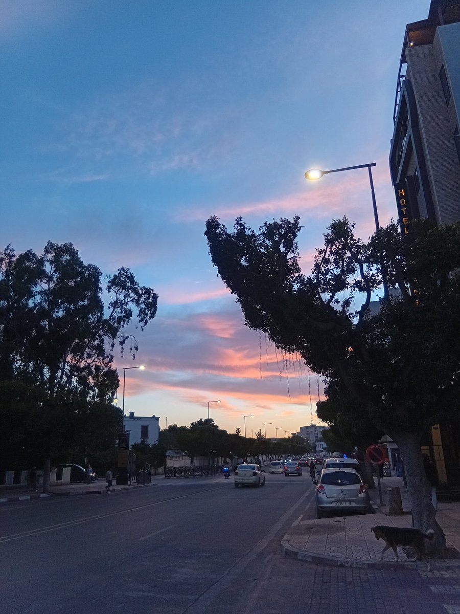 ghir ana 🧚‍♂️ tweet media