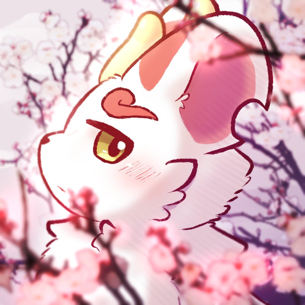 Ein (Varu) tweet media