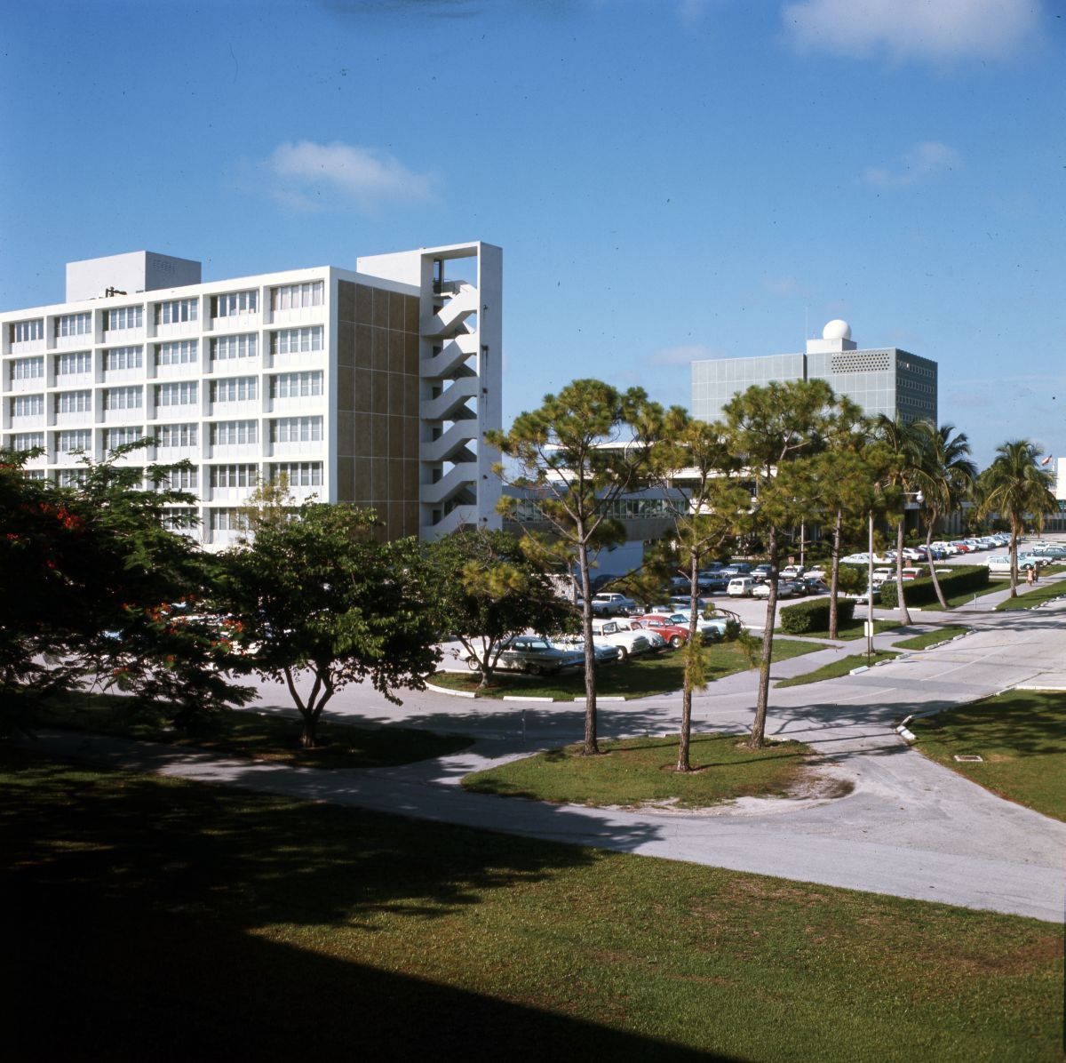 State Library of FL tweet media