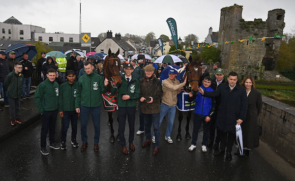 Willie Mullins tweet media