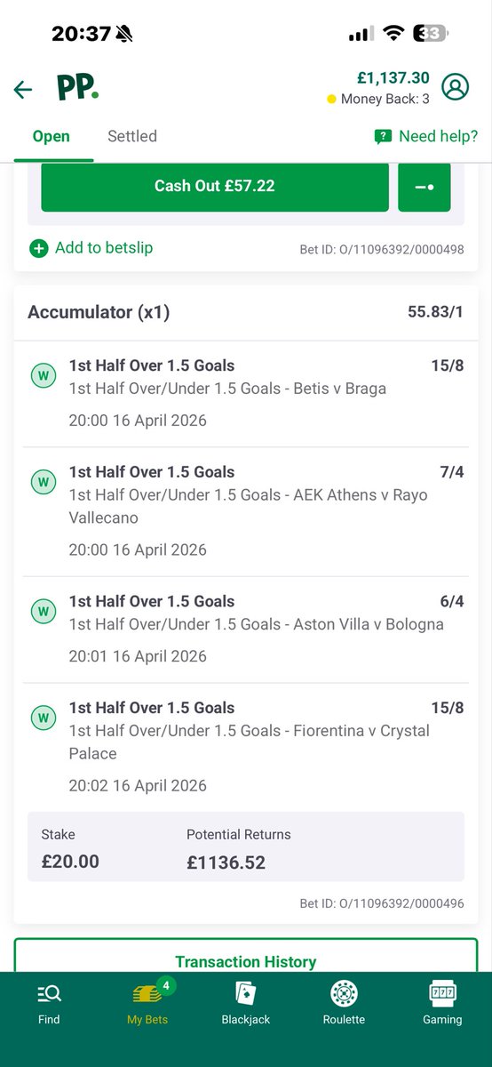 HighlandCoo tweet media