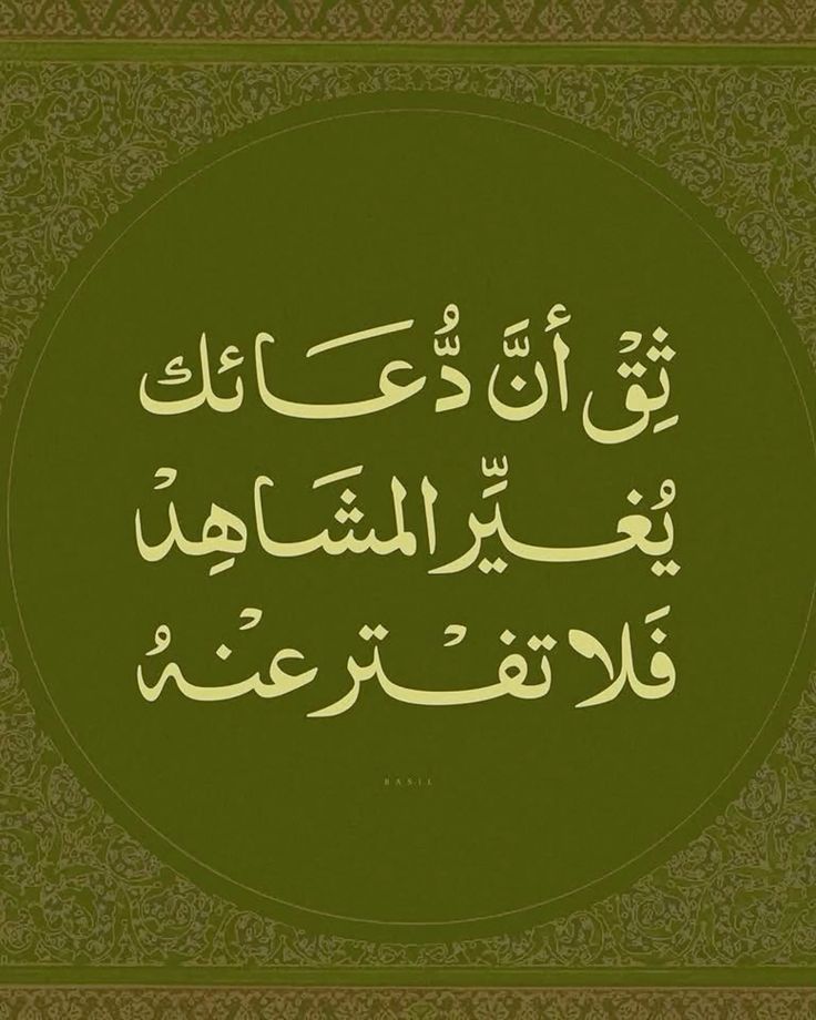 مُطمئِنةَ.! tweet media