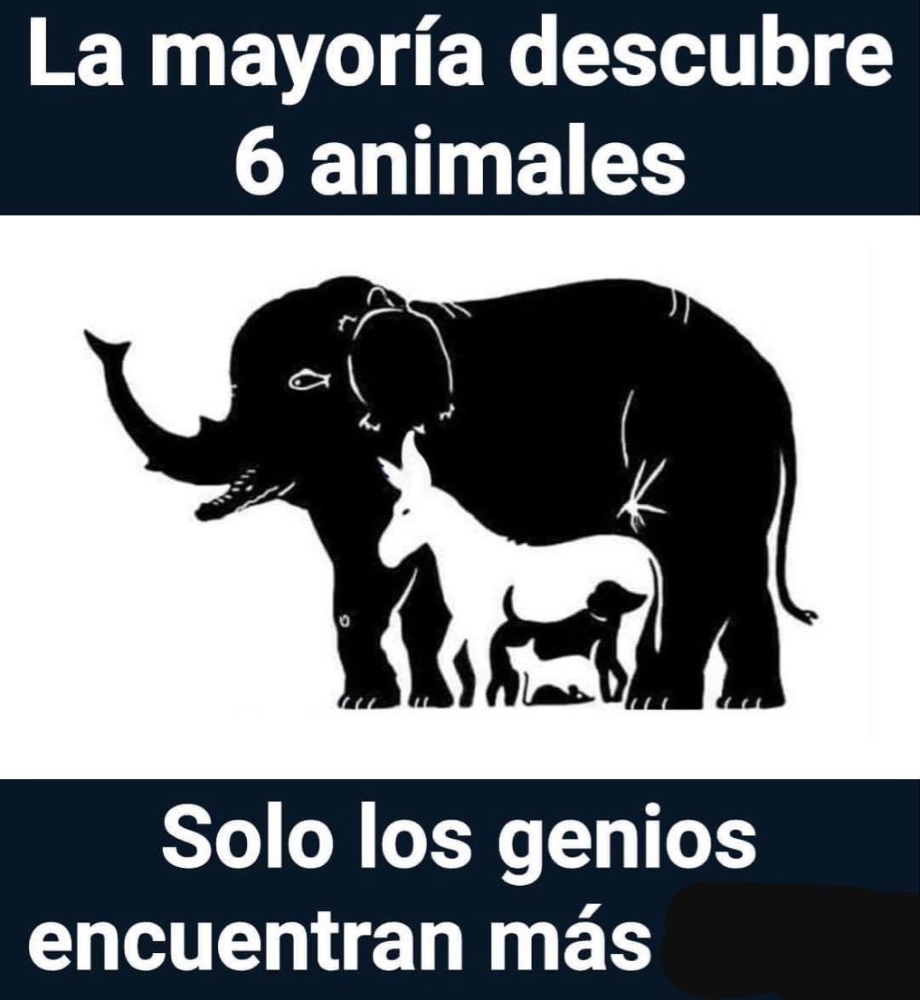 ॐ🌹ᾄᾗᾄҭἔłὄʀẓᾄ🌹ॐ tweet media