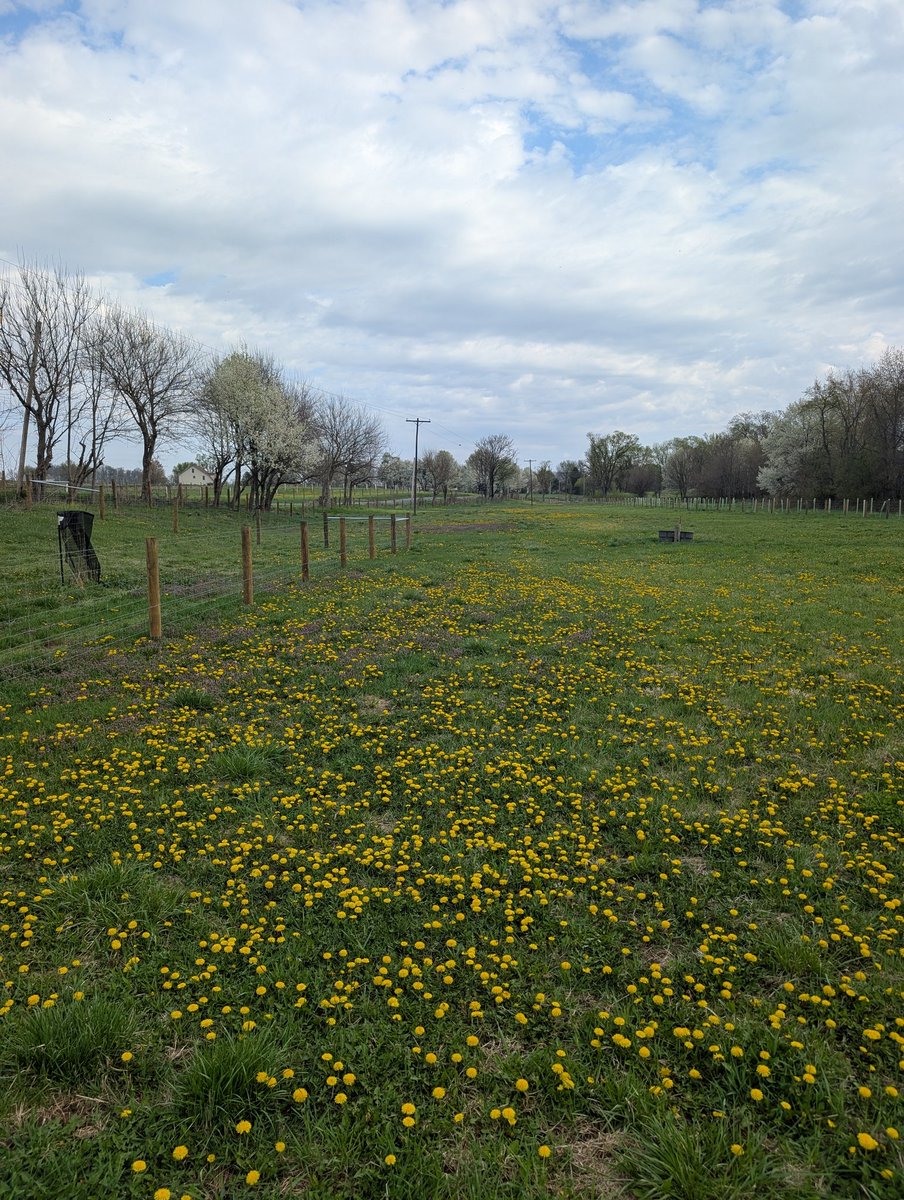 Patrick Heizer tweet media