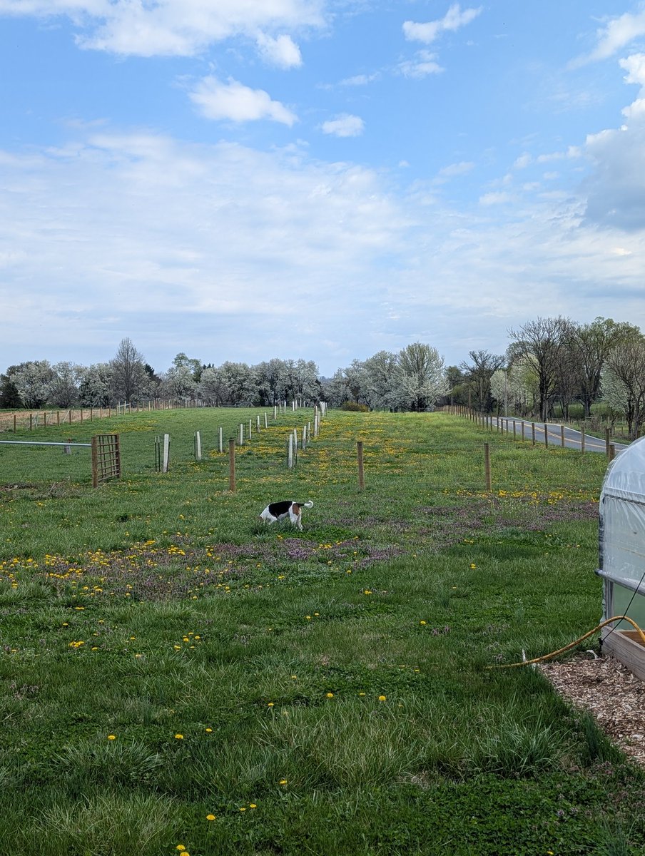 Patrick Heizer tweet media