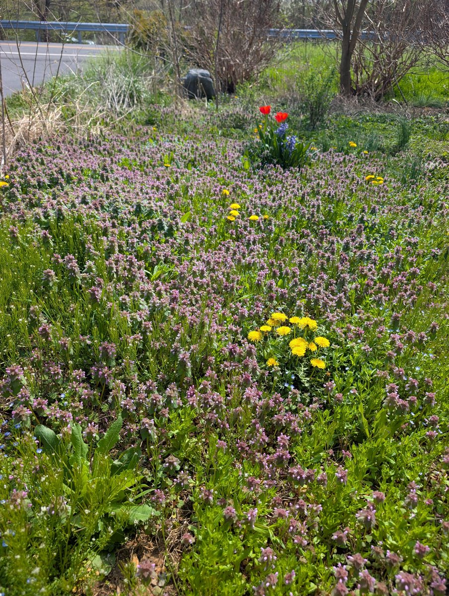 Patrick Heizer tweet media