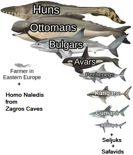 OrdaHan-𐰆𐰺𐰴𐰣 tweet media