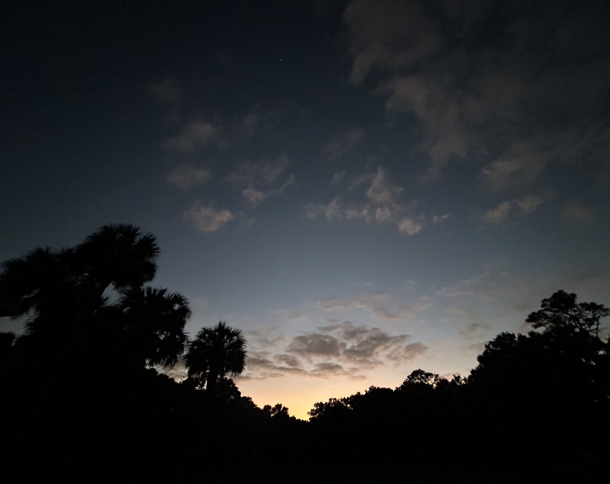 Nonentity. tweet media