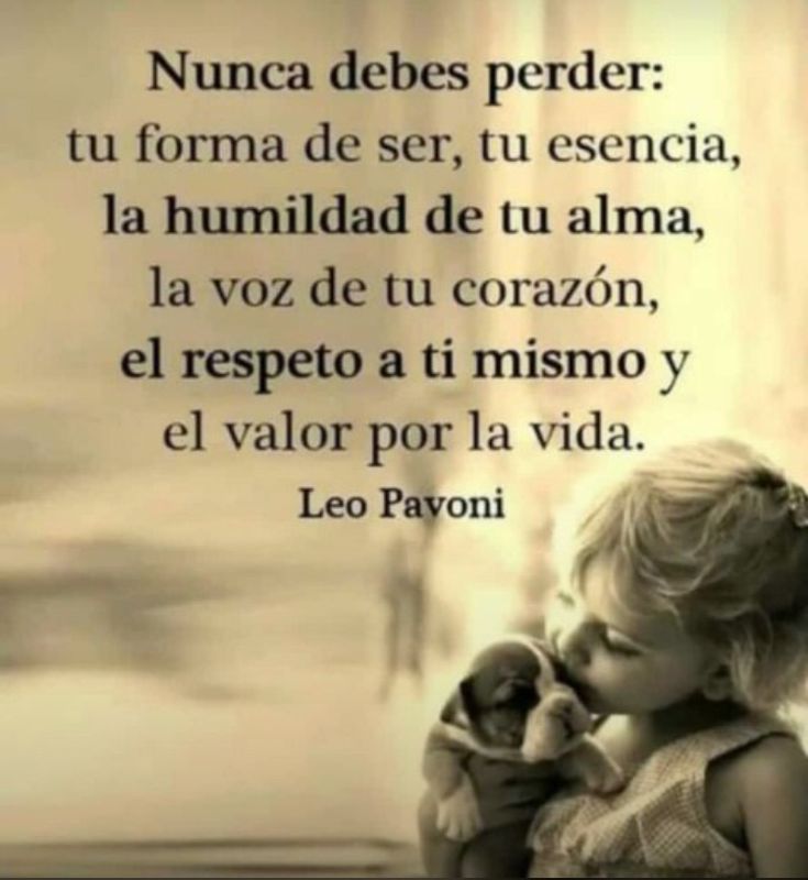 Flore Te Sigue tweet media