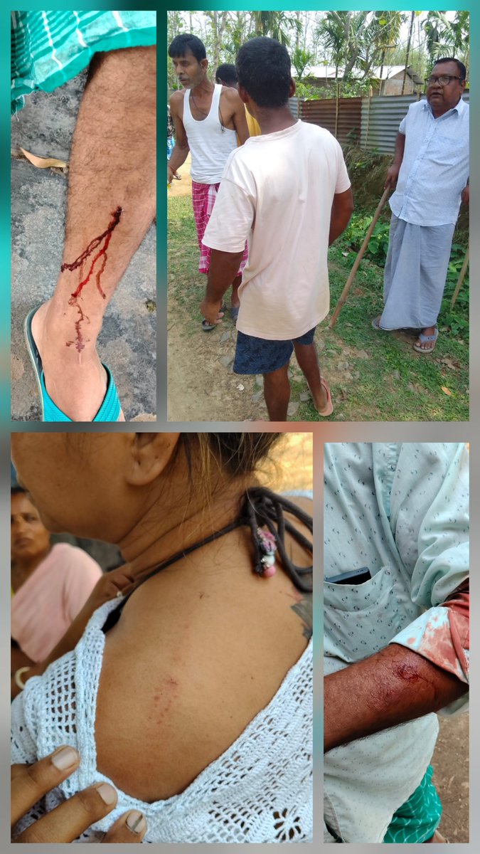 Chimran Borah tweet media