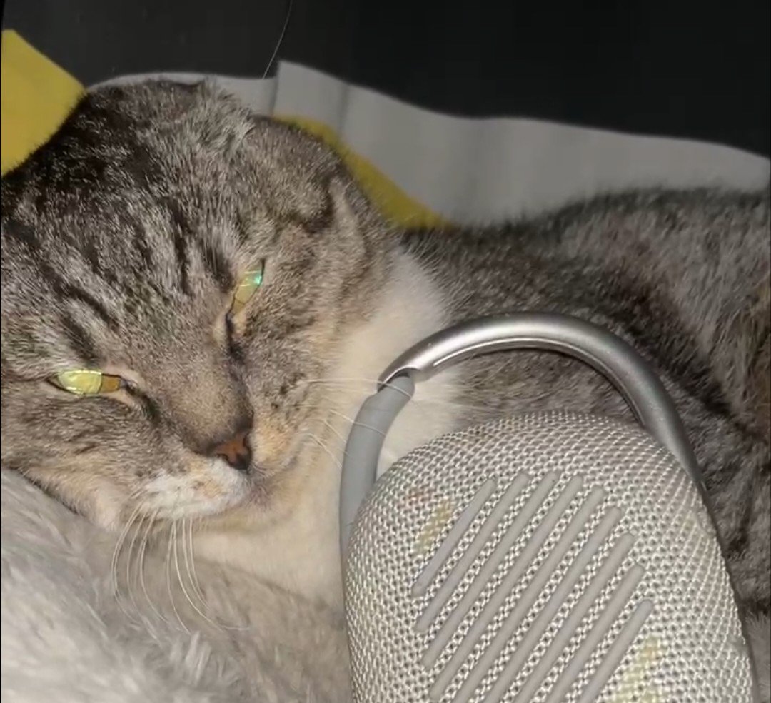 Aggie Farms tweet media