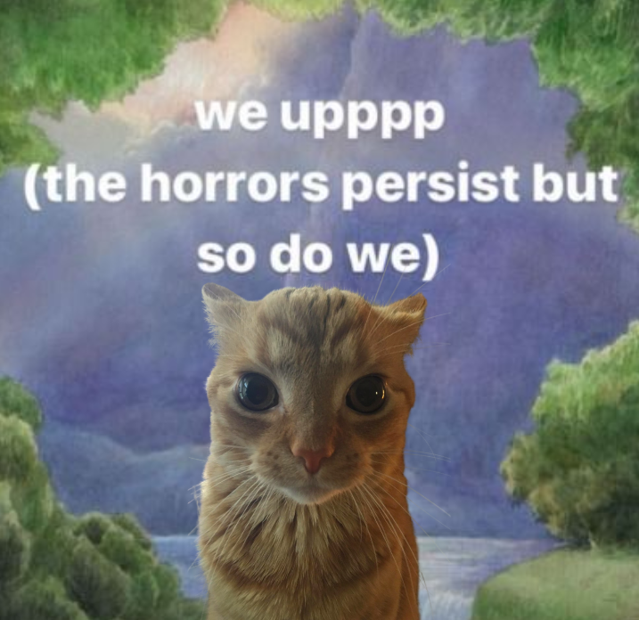 ONL03 (@lpn_kg) on Twitter photo 