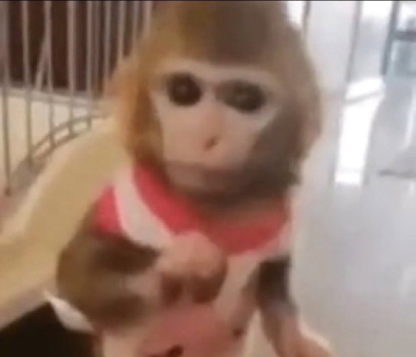 𓇢𓆸⁹ tweet media