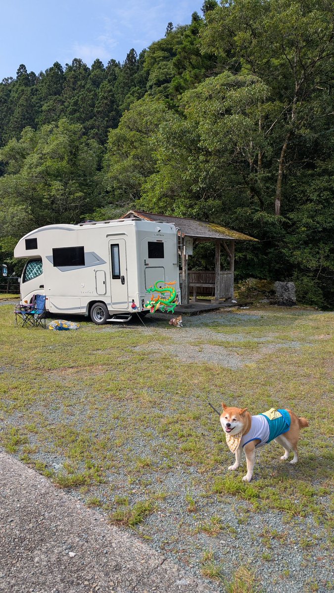 大賀智章 / スティーブとーさん tweet media