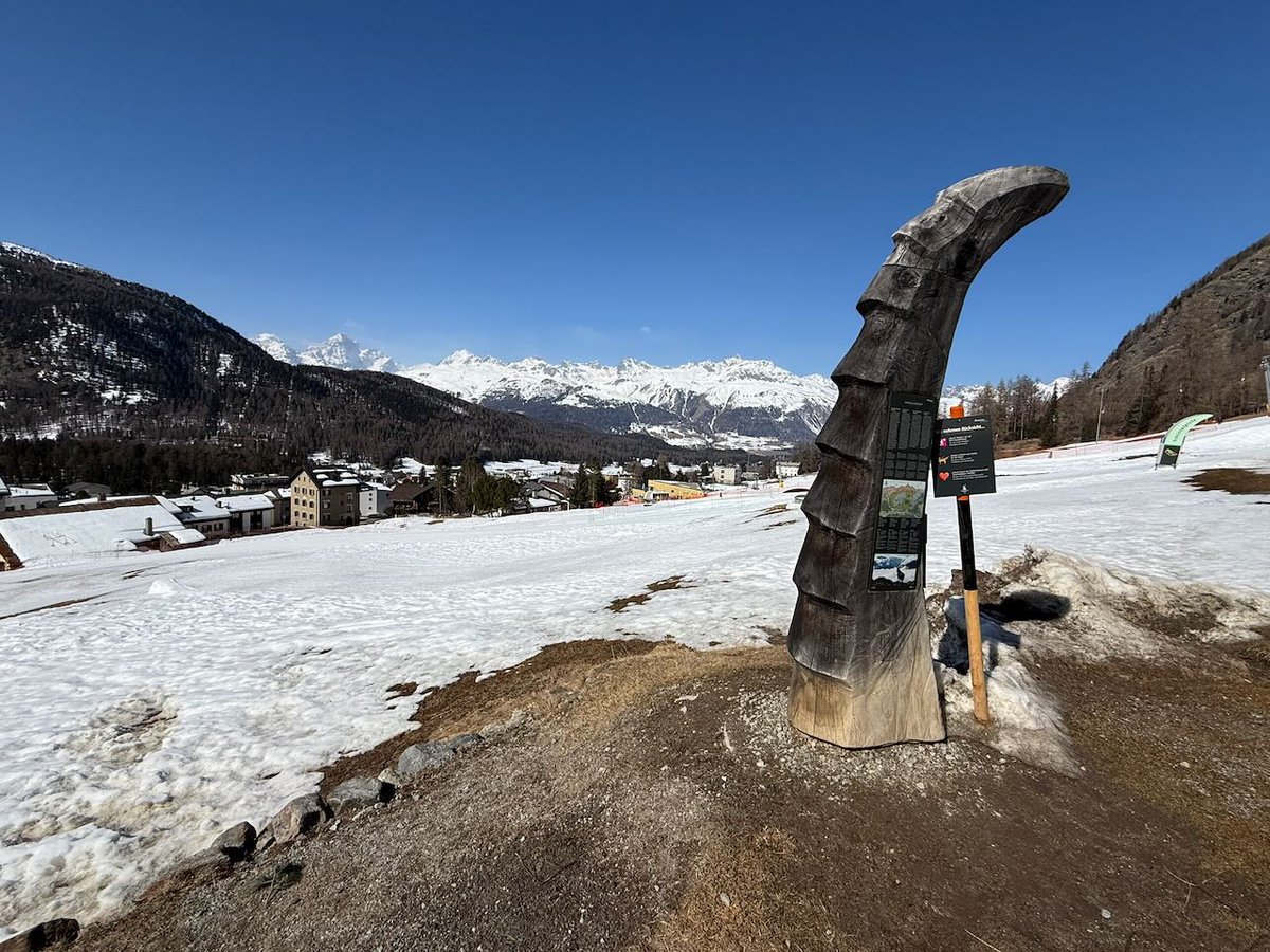 the_schindler's tweet image. Hidden alpine valley near Pontresina ❄️🏔️
Quiet trails, unreal views, no crowds. Come early + explore side paths for the best spots.
@travalacom #HiddenGems #Trave