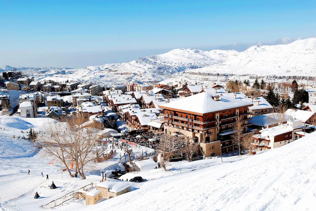 Moran Zaga tweet media