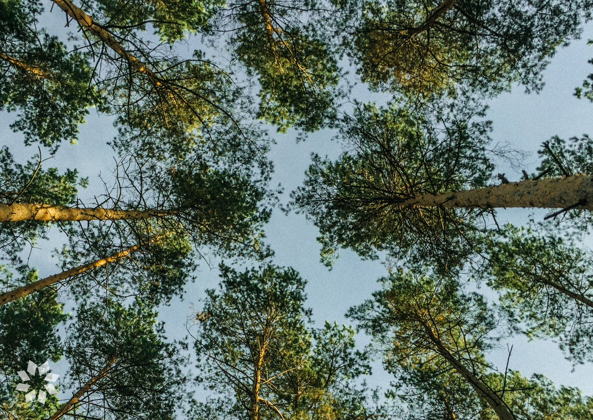 Glow Foundation tweet media