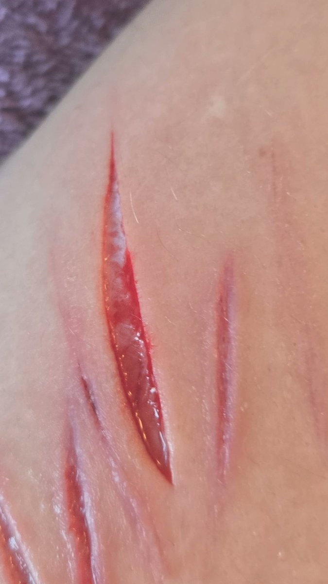 alice :3 tweet media